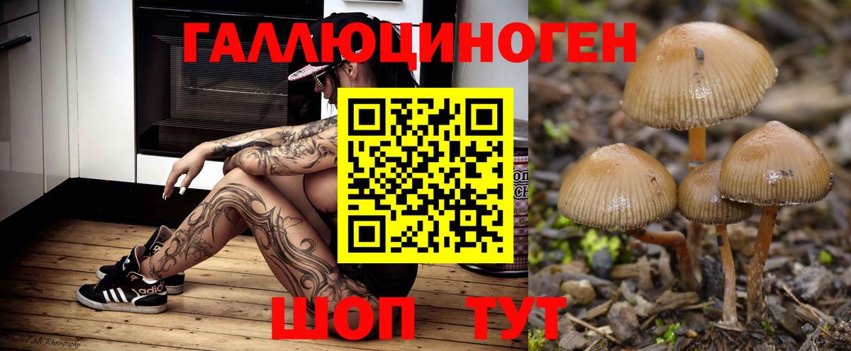 Псилоцибиновые грибы ЛСД Туапсе