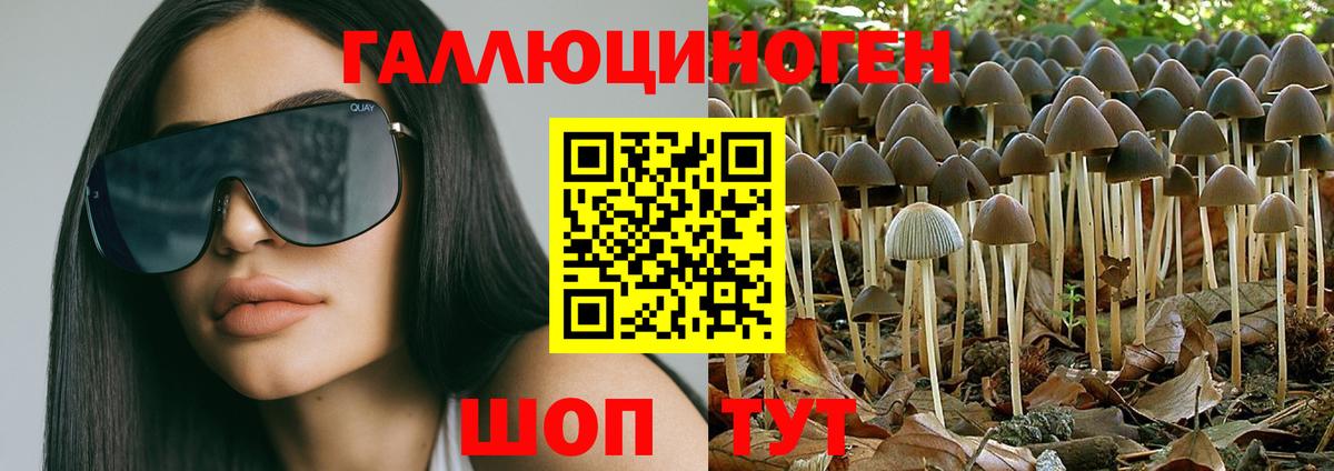 Туапсе  Галлюциногенные грибы MAGIC MUSHROOMS  где продают наркотики  Вход с VPN 